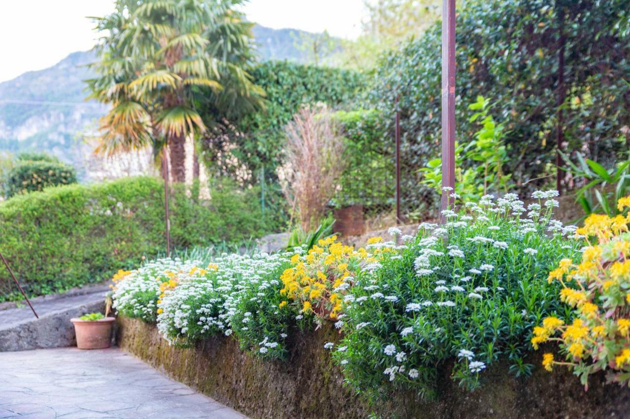 Villa Casa Giulia  Lierna Exterior foto
